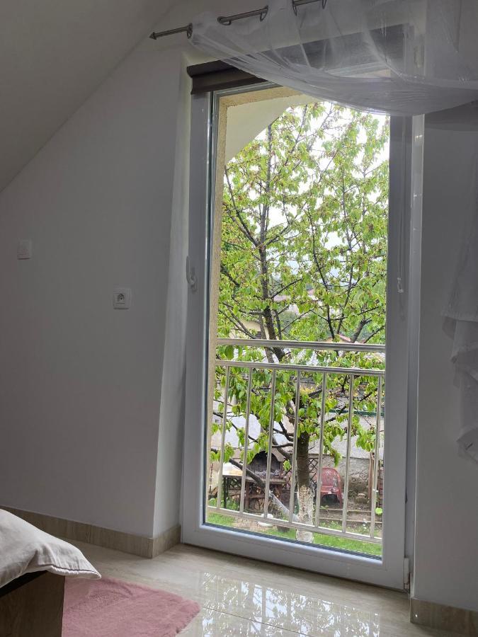 Apartma Azurre 포스토이나 외부 사진