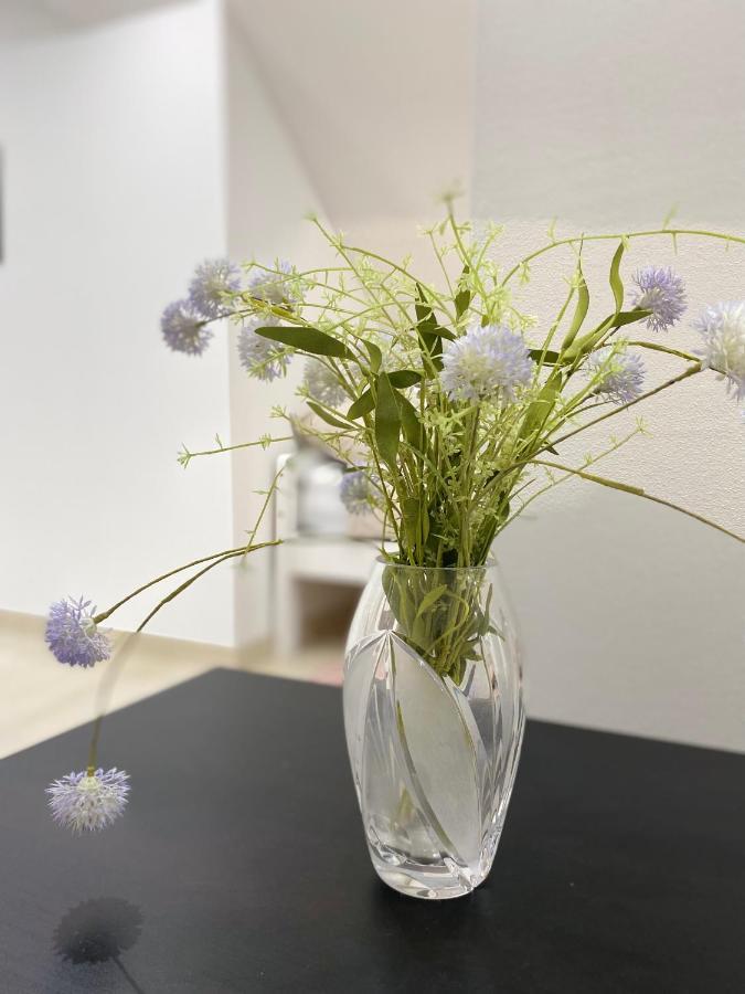 Apartma Azurre 포스토이나 외부 사진